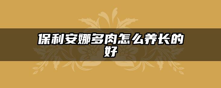 保利安娜多肉怎么养长的好
