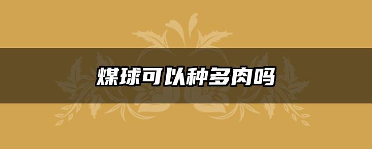 煤球可以种多肉吗