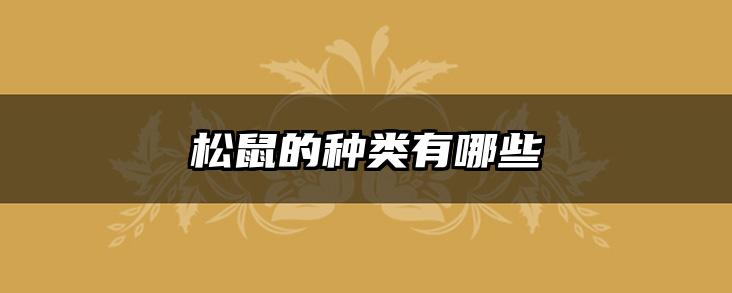 松鼠的种类有哪些