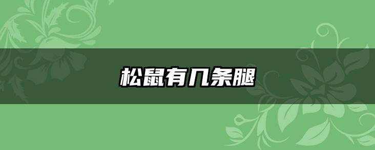 松鼠有几条腿