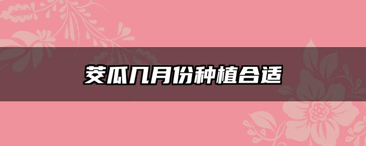 茭瓜几月份种植合适