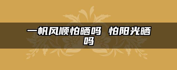 一帆风顺怕晒吗 怕阳光晒吗