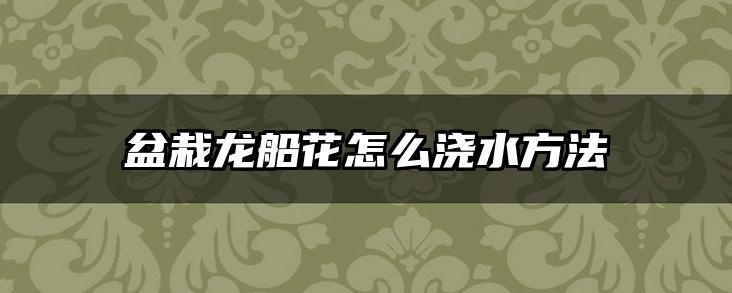 盆栽龙船花怎么浇水方法