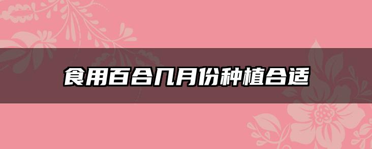 食用百合几月份种植合适