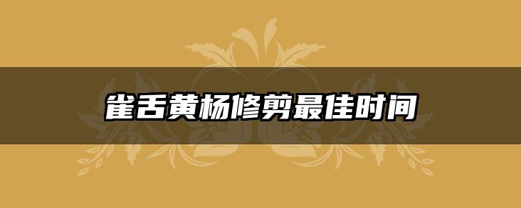 雀舌黄杨修剪最佳时间