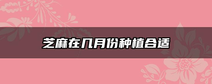 芝麻在几月份种植合适