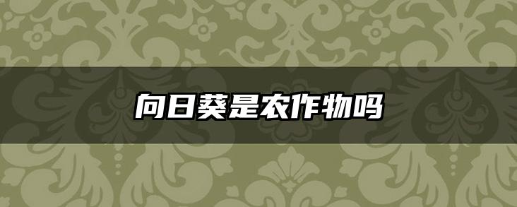 向日葵是农作物吗