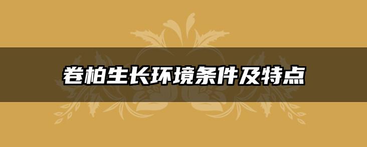 卷柏生长环境条件及特点