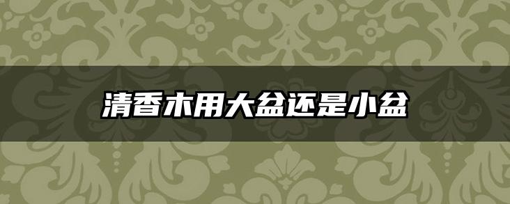清香木用大盆还是小盆
