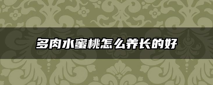 多肉水蜜桃怎么养长的好