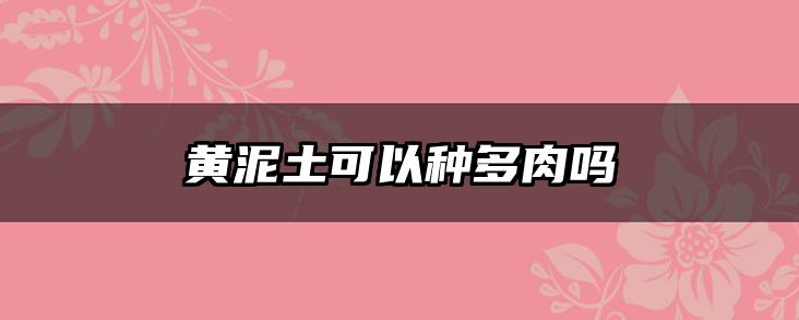 黄泥土可以种多肉吗