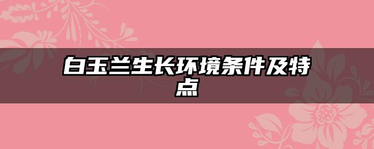 白玉兰生长环境条件及特点