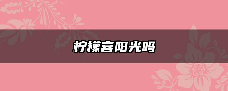 柠檬喜阳光吗