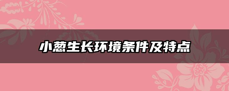 小葱生长环境条件及特点