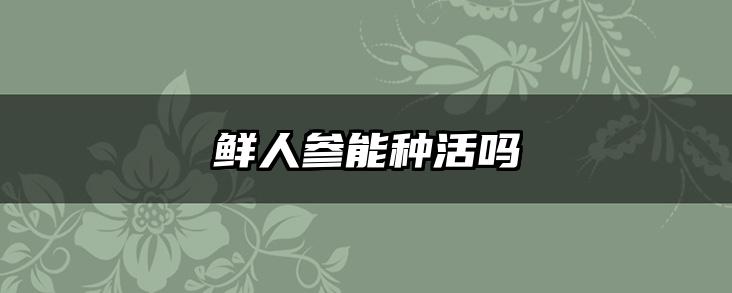鲜人参能种活吗