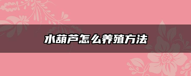 水葫芦怎么养殖方法