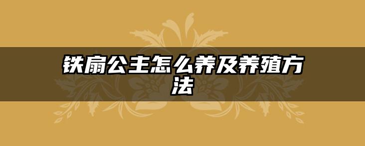 铁扇公主怎么养及养殖方法