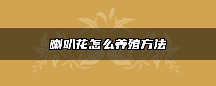 喇叭花怎么养殖方法