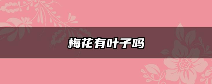 梅花有叶子吗