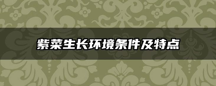 紫菜生长环境条件及特点