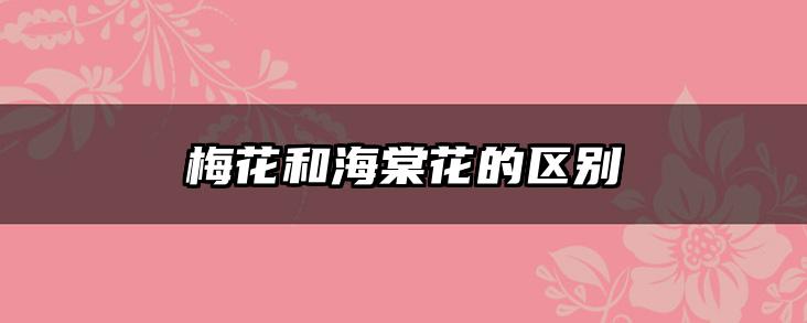 梅花和海棠花的区别