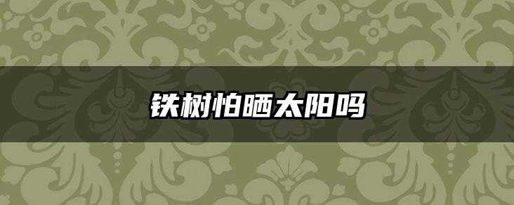 铁树怕晒太阳吗