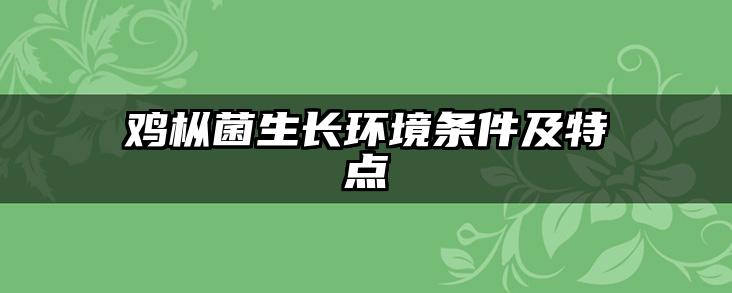 鸡枞菌生长环境条件及特点