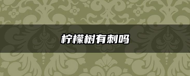 柠檬树有刺吗
