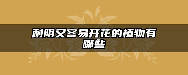 耐阴又容易开花的植物有哪些