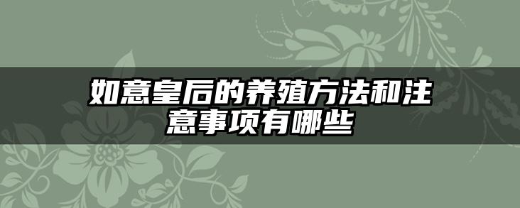 如意皇后的养殖方法和注意事项有哪些
