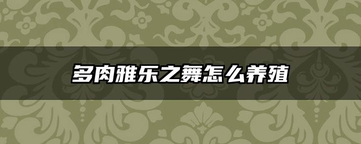 多肉雅乐之舞怎么养殖