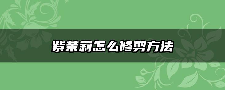 紫茉莉怎么修剪方法