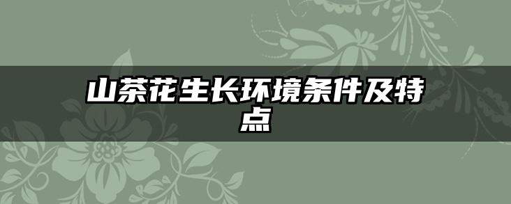 山茶花生长环境条件及特点