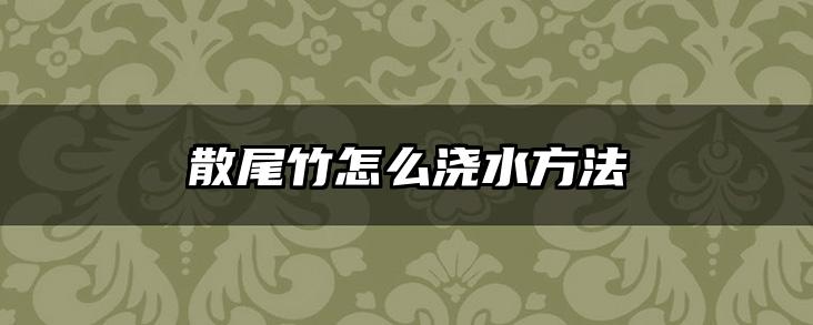 散尾竹怎么浇水方法