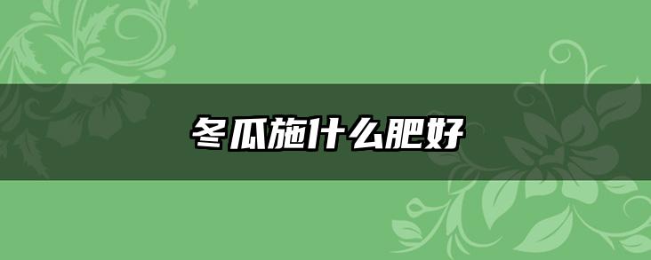 冬瓜施什么肥好