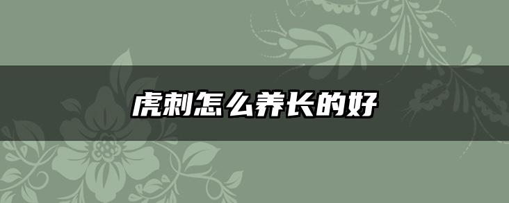 虎刺怎么养长的好