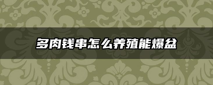 多肉钱串怎么养殖能爆盆