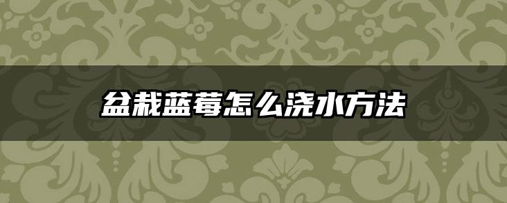盆栽蓝莓怎么浇水方法