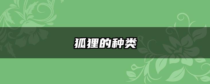 狐狸的种类