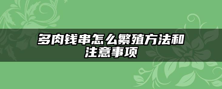 多肉钱串怎么繁殖方法和注意事项