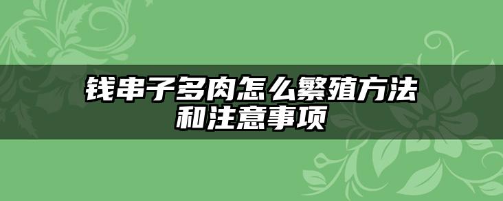 钱串子多肉怎么繁殖方法和注意事项