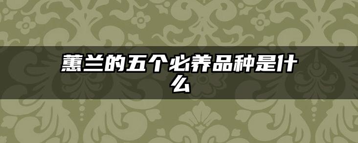 蕙兰的五个必养品种是什么