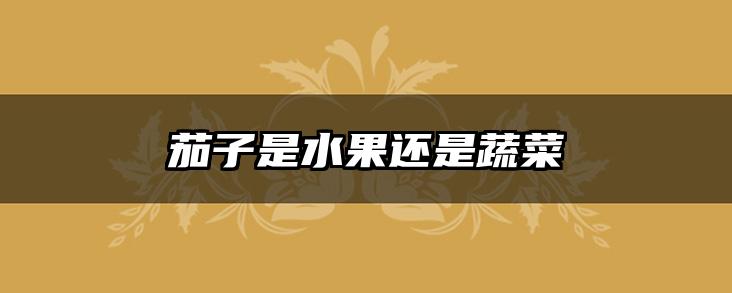 茄子是水果还是蔬菜
