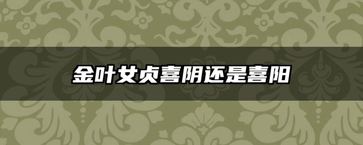 金叶女贞喜阴还是喜阳