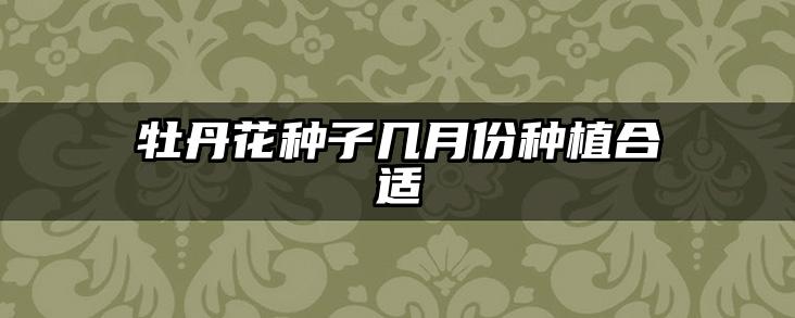 牡丹花种子几月份种植合适