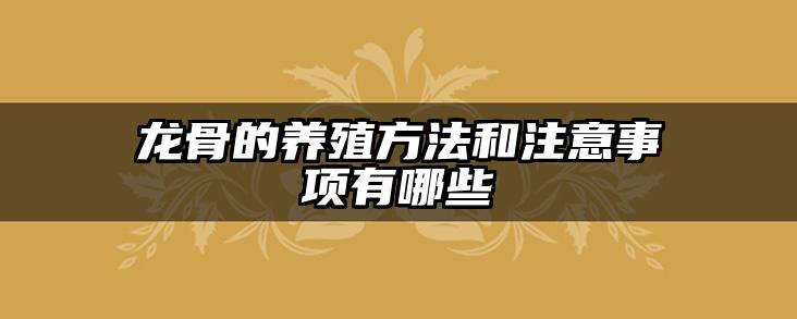 龙骨的养殖方法和注意事项有哪些