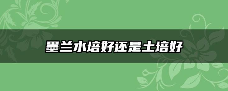 墨兰水培好还是土培好