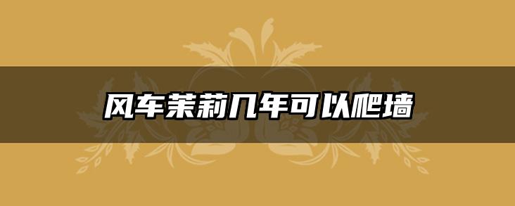 风车茉莉几年可以爬墙