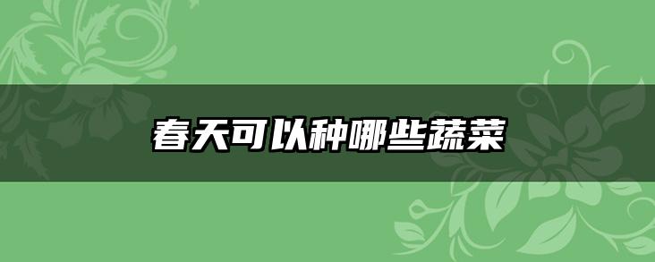 春天可以种哪些蔬菜