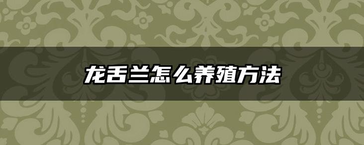 龙舌兰怎么养殖方法